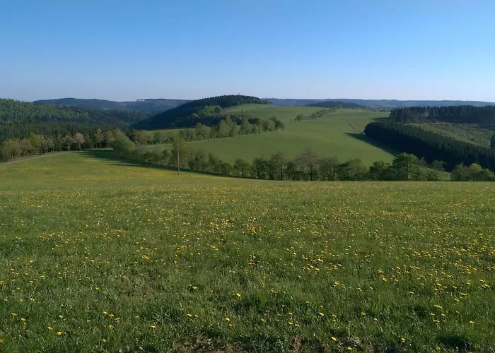 Voege Apartment Schmallenberg