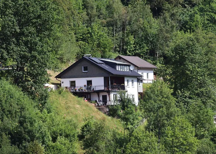 Voege Daire Schmallenberg