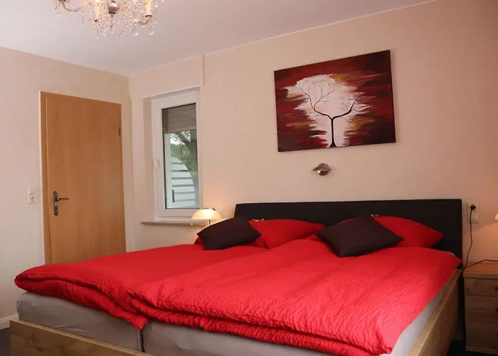 Voege Daire *
